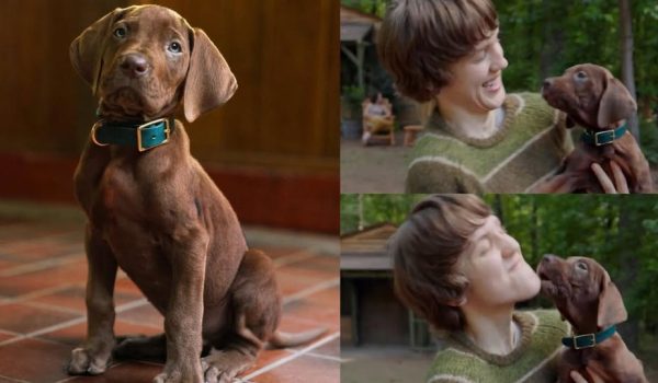 Sale a la luz el primer tráiler de la nueva serie Scooby-Doo: Origins