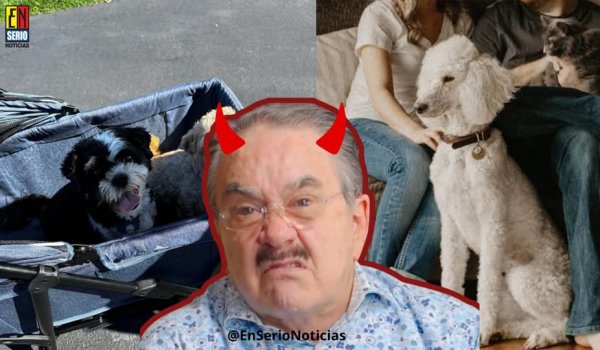 “Me dan ganas de…” La declaración de Pedrito Sola que causó indignación.
