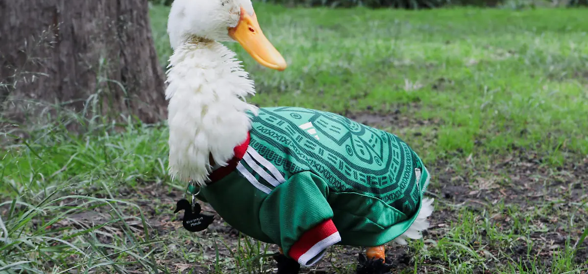 Pato Merlín llega a Boing y comparte campaña con Jorge Campos.